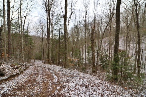 Tiny photo for 3063 Leatherwood Rd, Oneida, TN 37841 (MLS # 1327999)