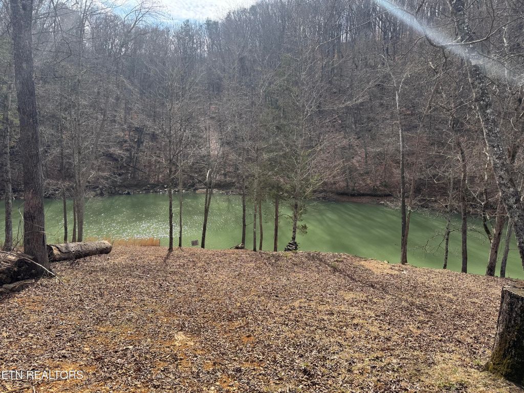 Photo of 348 Wagon Lane, Speedwell, TN 37870 (MLS # 1292115)