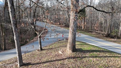 Tiny photo for 105 Echo Valley Rd, Rocky Top, TN 37769 (MLS # 1323301)