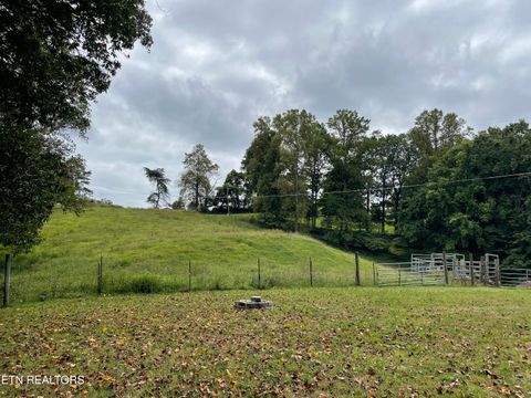 Tiny photo for 105 Echo Valley Rd, Rocky Top, TN 37769 (MLS # 1323301)