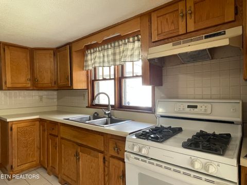 Tiny photo for 105 Echo Valley Rd, Rocky Top, TN 37769 (MLS # 1323301)