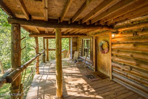 Tiny photo for 10 Needles Way, Sevierville, TN 37876 (MLS # 1324350)