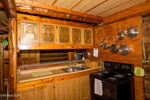 Tiny photo for 10 Needles Way, Sevierville, TN 37876 (MLS # 1324350)