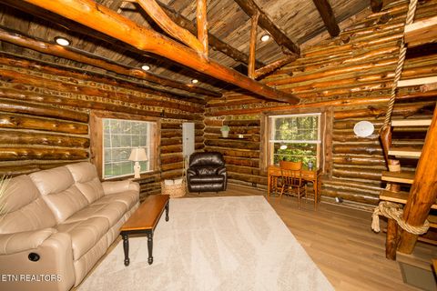 Tiny photo for 10 Needles Way, Sevierville, TN 37876 (MLS # 1324350)