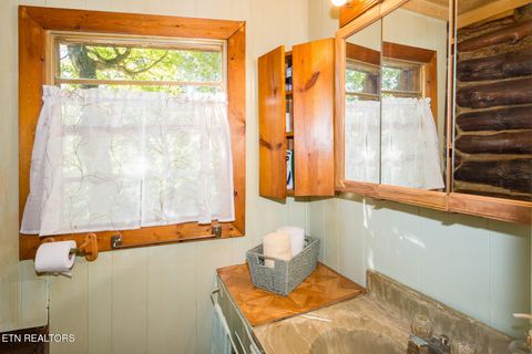 Tiny photo for 10 Needles Way, Sevierville, TN 37876 (MLS # 1324350)