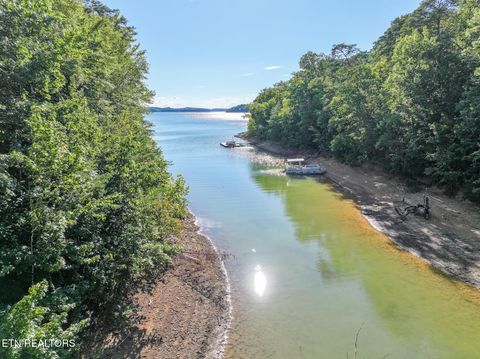 Tiny photo for 10 Needles Way, Sevierville, TN 37876 (MLS # 1324350)