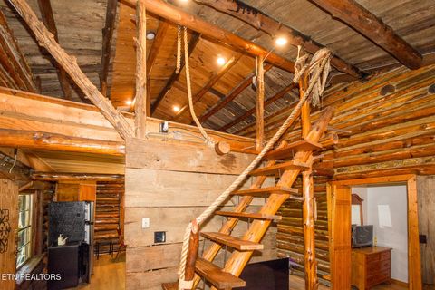 Tiny photo for 10 Needles Way, Sevierville, TN 37876 (MLS # 1324350)