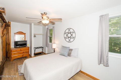 Tiny photo for 10 Needles Way, Sevierville, TN 37876 (MLS # 1324350)