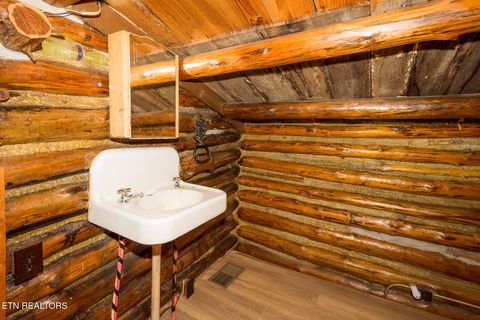 Tiny photo for 10 Needles Way, Sevierville, TN 37876 (MLS # 1324350)