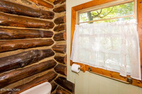 Tiny photo for 10 Needles Way, Sevierville, TN 37876 (MLS # 1324350)