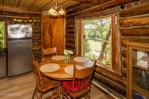 Tiny photo for 10 Needles Way, Sevierville, TN 37876 (MLS # 1324350)