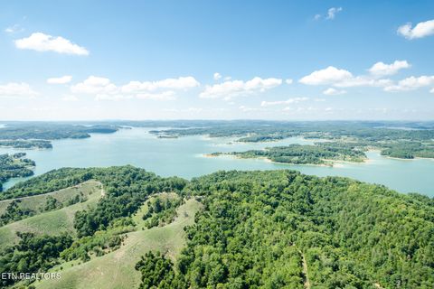 Tiny photo for 10 Needles Way, Sevierville, TN 37876 (MLS # 1324350)