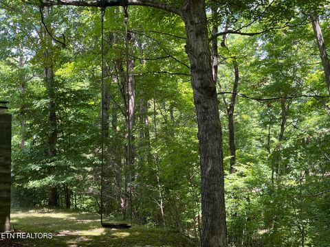 Tiny photo for 10 Needles Way, Sevierville, TN 37876 (MLS # 1324350)