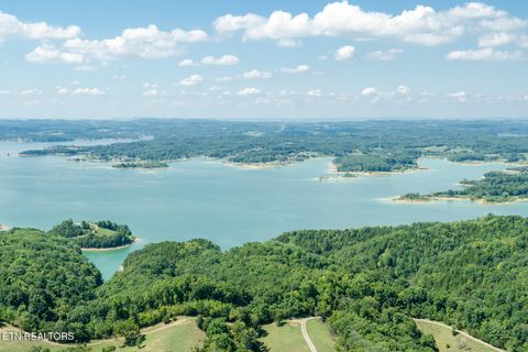 Tiny photo for 10 Needles Way, Sevierville, TN 37876 (MLS # 1324350)