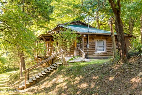 Tiny photo for 10 Needles Way, Sevierville, TN 37876 (MLS # 1324350)