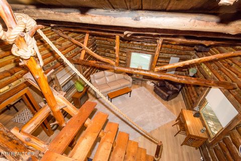 Tiny photo for 10 Needles Way, Sevierville, TN 37876 (MLS # 1324350)