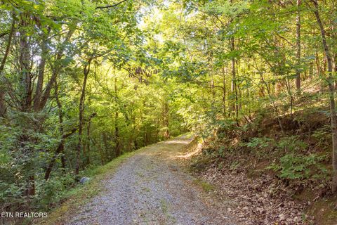 Tiny photo for 10 Needles Way, Sevierville, TN 37876 (MLS # 1324350)