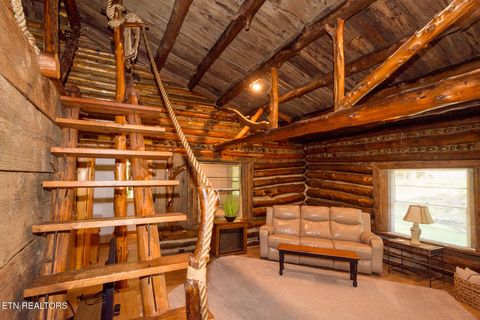 Tiny photo for 10 Needles Way, Sevierville, TN 37876 (MLS # 1324350)