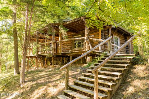 Tiny photo for 10 Needles Way, Sevierville, TN 37876 (MLS # 1324350)