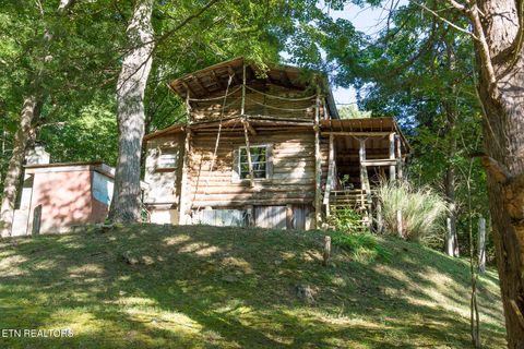 Tiny photo for 10 Needles Way, Sevierville, TN 37876 (MLS # 1324350)