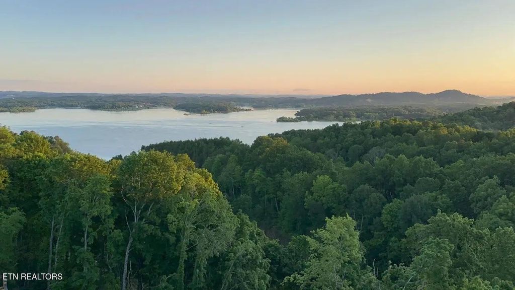 Photo of 10 Needles Way, Sevierville, TN 37876 (MLS # 1324350)