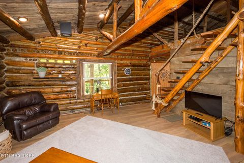 Tiny photo for 10 Needles Way, Sevierville, TN 37876 (MLS # 1324350)