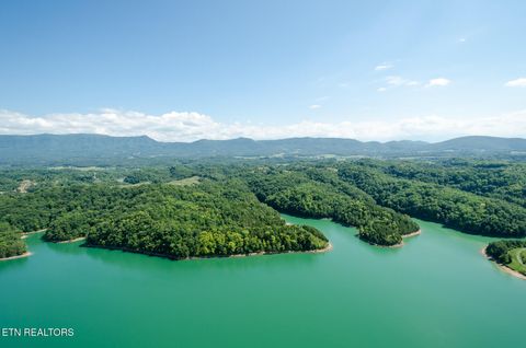 Tiny photo for 10 Needles Way, Sevierville, TN 37876 (MLS # 1324350)