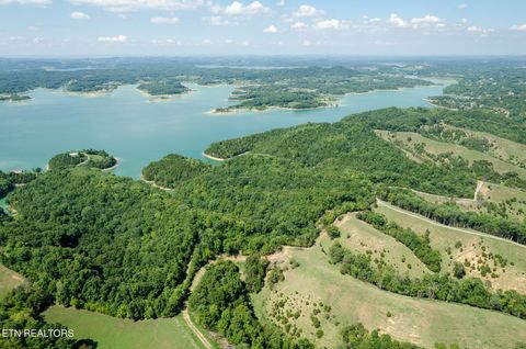 Tiny photo for 10 Needles Way, Sevierville, TN 37876 (MLS # 1324350)