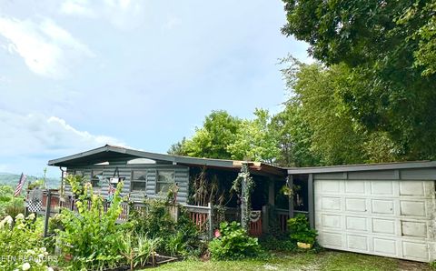 3855 Catewright Rd Kodak TN 37764