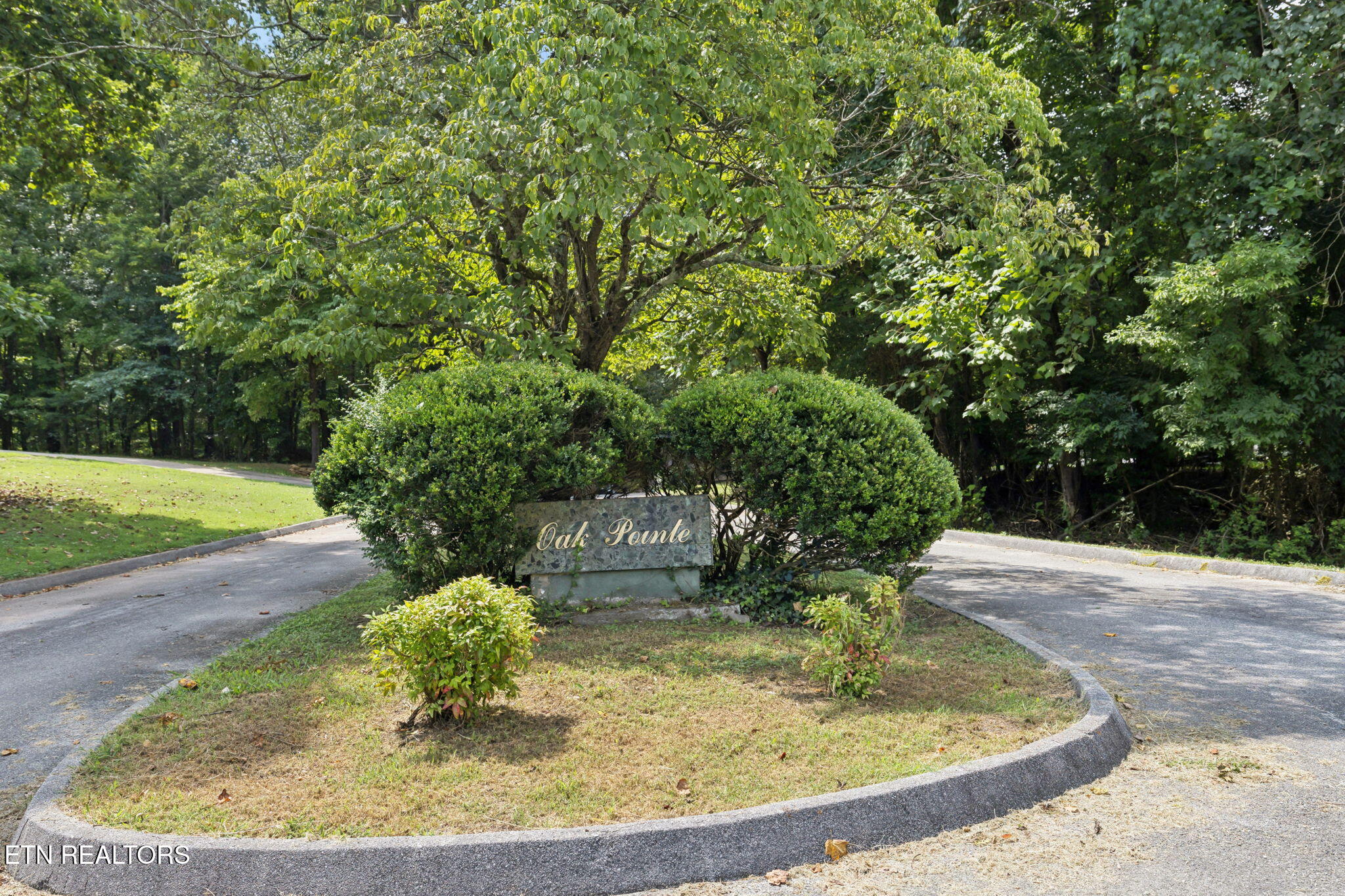 103 Nelson Place