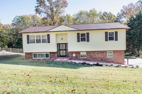 Photo of 4512 Ventura Drive, Knoxville, TN 37938 (MLS # 1319286)