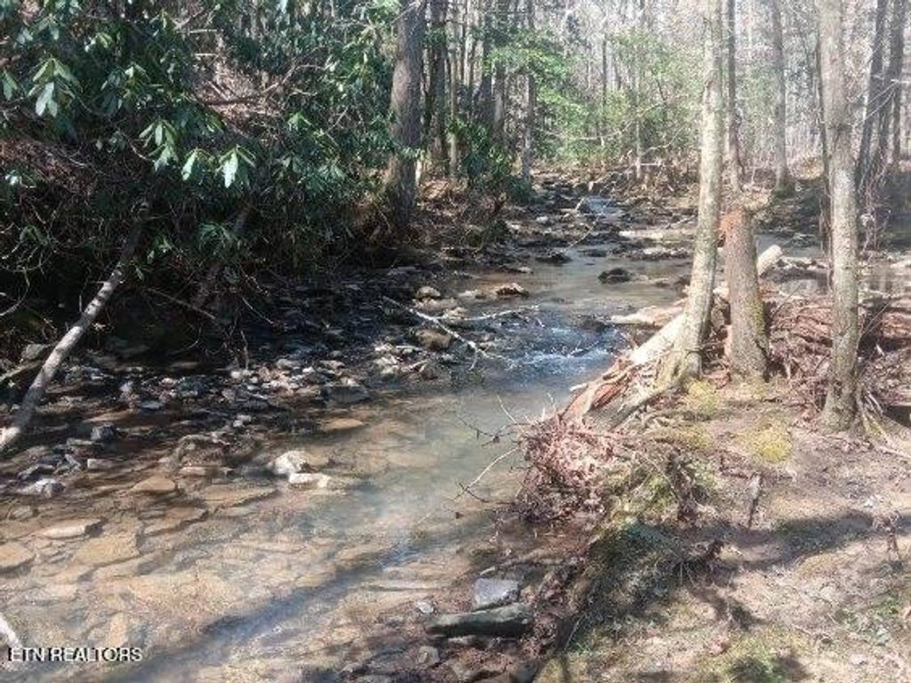 Photo of 255 Copperhead Rd, Oakdale, TN 37829 (MLS # 1295250)