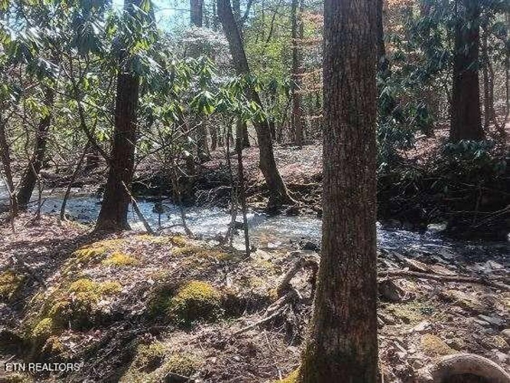 Photo of 255 Copperhead Rd, Oakdale, TN 37829 (MLS # 1295250)