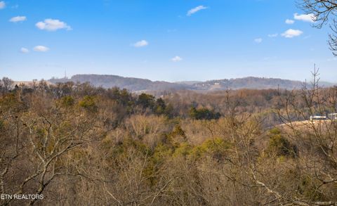 Tiny photo for 111 Cedar Hills Road Rd, Sevierville, TN 37862 (MLS # 1330165)