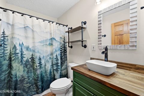 Tiny photo for 111 Cedar Hills Road Rd, Sevierville, TN 37862 (MLS # 1330165)