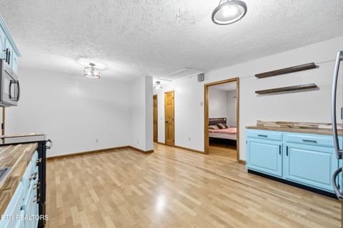 Tiny photo for 111 Cedar Hills Road Rd, Sevierville, TN 37862 (MLS # 1330165)