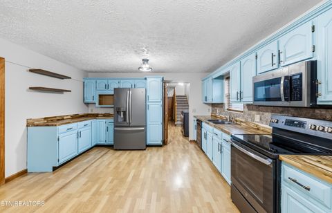 Tiny photo for 111 Cedar Hills Road Rd, Sevierville, TN 37862 (MLS # 1330165)