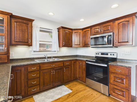 Tiny photo for 115 Dabbs Drive, Spring City, TN 37381 (MLS # 1339839)