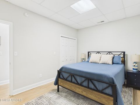 Tiny photo for 115 Dabbs Drive, Spring City, TN 37381 (MLS # 1339839)