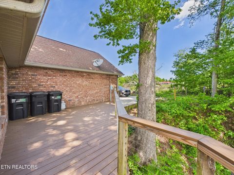 Tiny photo for 115 Dabbs Drive, Spring City, TN 37381 (MLS # 1339839)