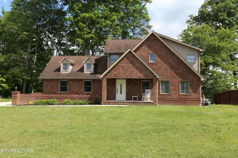 Photo of 115 Dabbs Drive, Spring City, TN 37381 (MLS # 1339839)