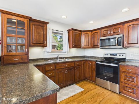 Tiny photo for 115 Dabbs Drive, Spring City, TN 37381 (MLS # 1339839)