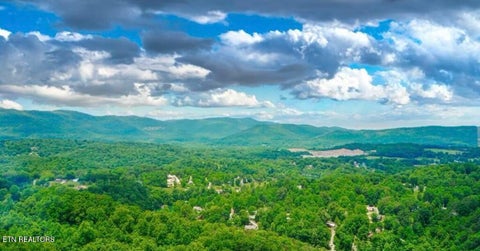 Tiny photo for Hiawatha Lane, Caryville, TN 37714 (MLS # 1357546)