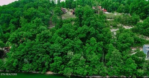 Tiny photo for Hiawatha Lane, Caryville, TN 37714 (MLS # 1357546)