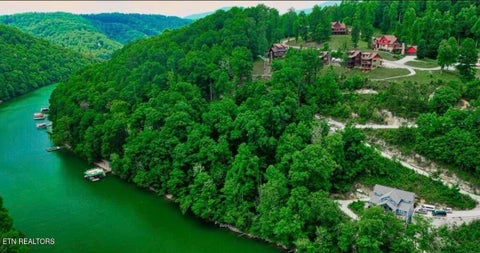 Tiny photo for Hiawatha Lane, Caryville, TN 37714 (MLS # 1357546)