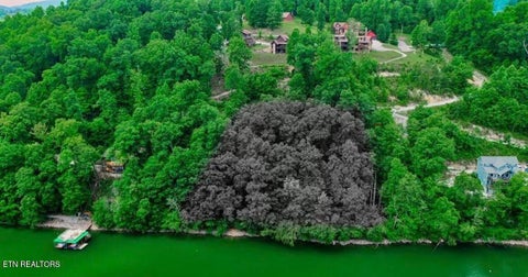 Tiny photo for Hiawatha Lane, Caryville, TN 37714 (MLS # 1357546)