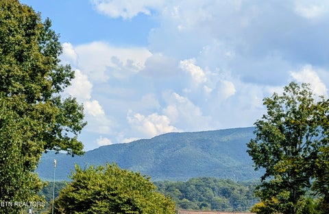 Tiny photo for 3240 W Laurelwood Ave, Sevierville, TN 37862 (MLS # 1356959)