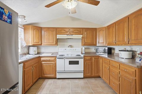 Tiny photo for 815 Cave St, Morristown, TN 37813 (MLS # 1329457)