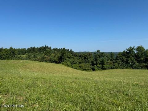 Photo of 2726 Double Top Rd, Jamestown, TN 38556 (MLS # 1318080)