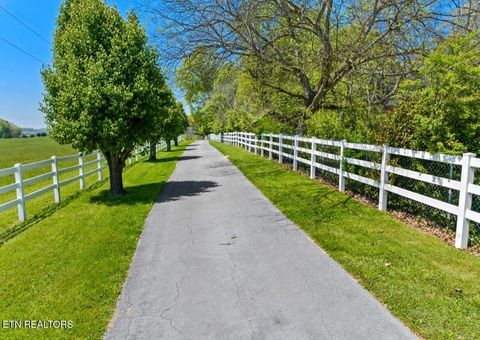 Tiny photo for 2041 Witt Rd, White Pine, TN 37890 (MLS # 1323597)